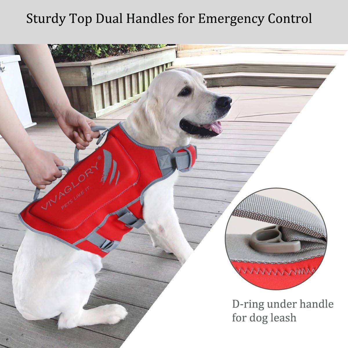 dog jacket with handle