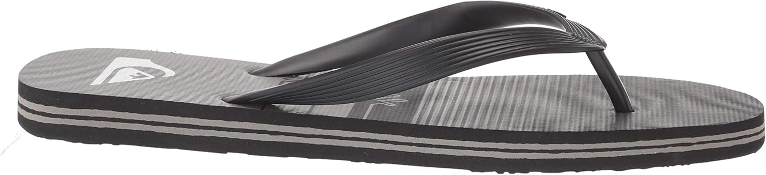 Quiksilver Men's Molokai Omni Force Flip-Flop: Shoes