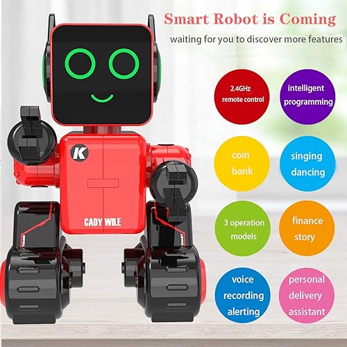 IHBUDS Remote Control Robot Toy for Kids, Programmable RC Robot