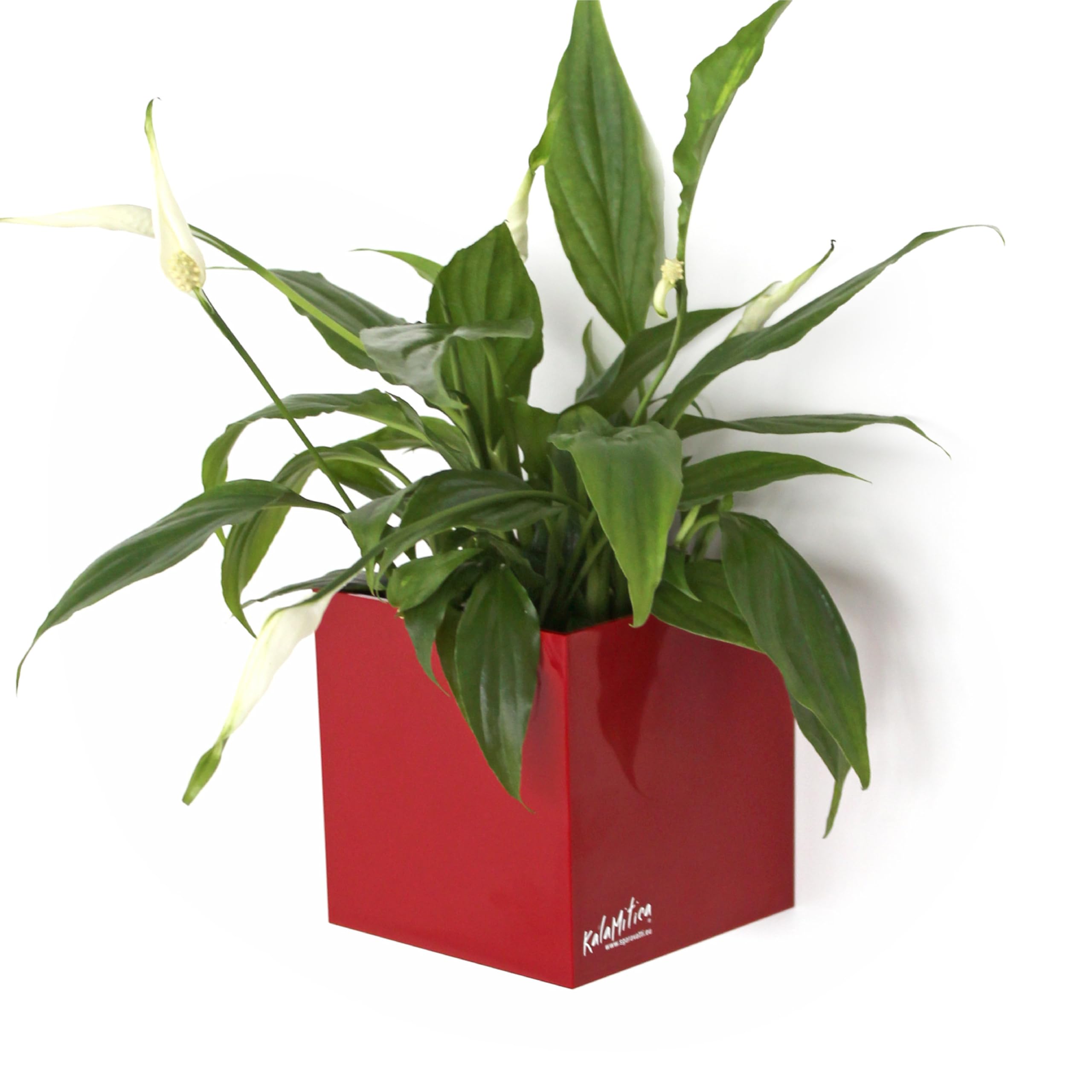 KalaMitica - Magnetic Cube, Cachepot, Marker Holder for Whiteboard, Organizer - Ø 9 cm, Red