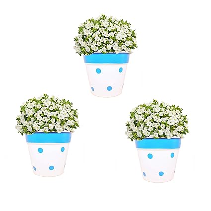 Pepper Agro 5 Inch Round Metal Flower Pot | Blue Dotted Design Plant Planter | Material- Cast Iron | Set 0f 3