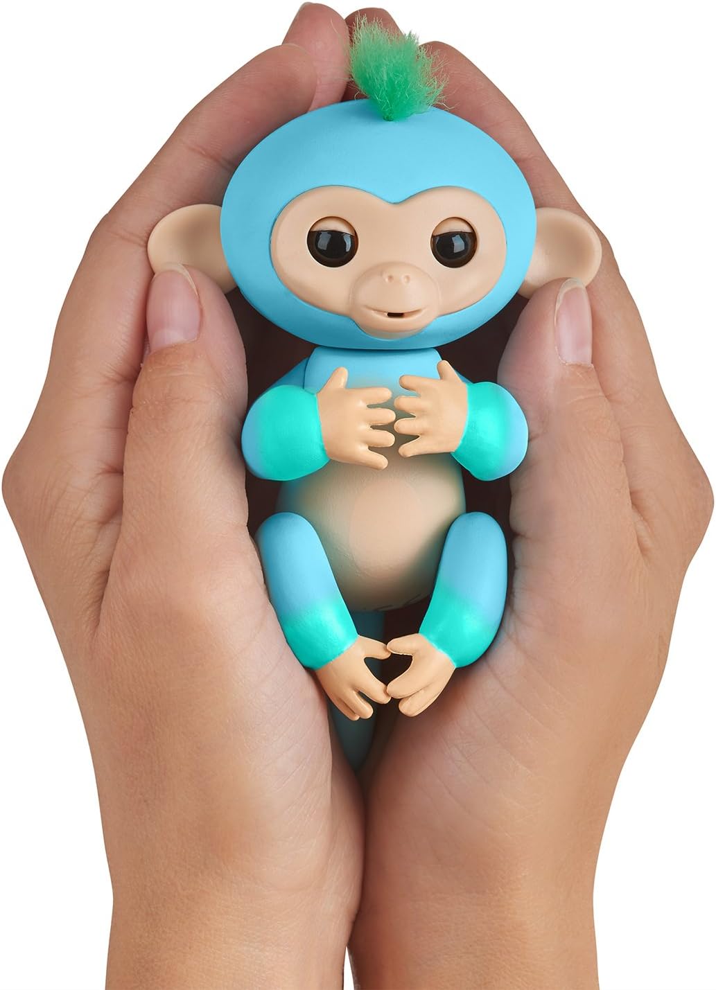 blue fingerling monkey