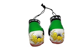 Iran Country Flag with Lion Mini Boxing Gloves..New