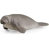 Schleich Wild Life, Animal Figurine, Animal Toys for Boys and Girls 3-8 years old, Manatee