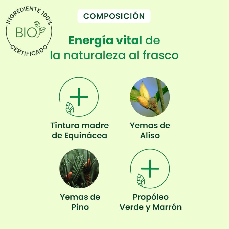 Jarabe Respiración BIO 150 ml – Yemas y Equinácea Vías Respir. — foto 4 de 6