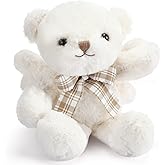 HyDren Angel Bear Plush Stuffed Animal with Wings White Bear Dolls for Boys Girls Birthday Gift(European Mink Velvet,Cute)