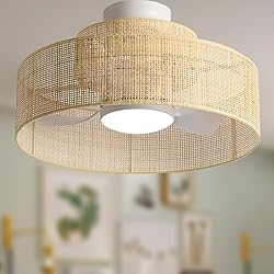 22” Bamboo DC Dimmable Ceiling Fan with Light and