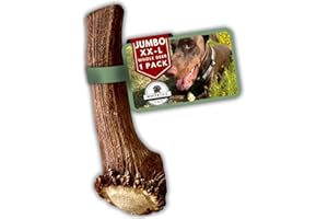 WhiteTail Naturals | Deer Antlers for Extra Large Dogs - (Jumbo-XXL) - Naturally Shed, Long Lasting Chew Bone for Aggressive Chewers