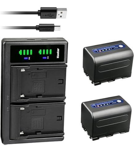 Amazon.com: Kastar 1-Pack NP-QM91D Battery 7.4V 5500mAh