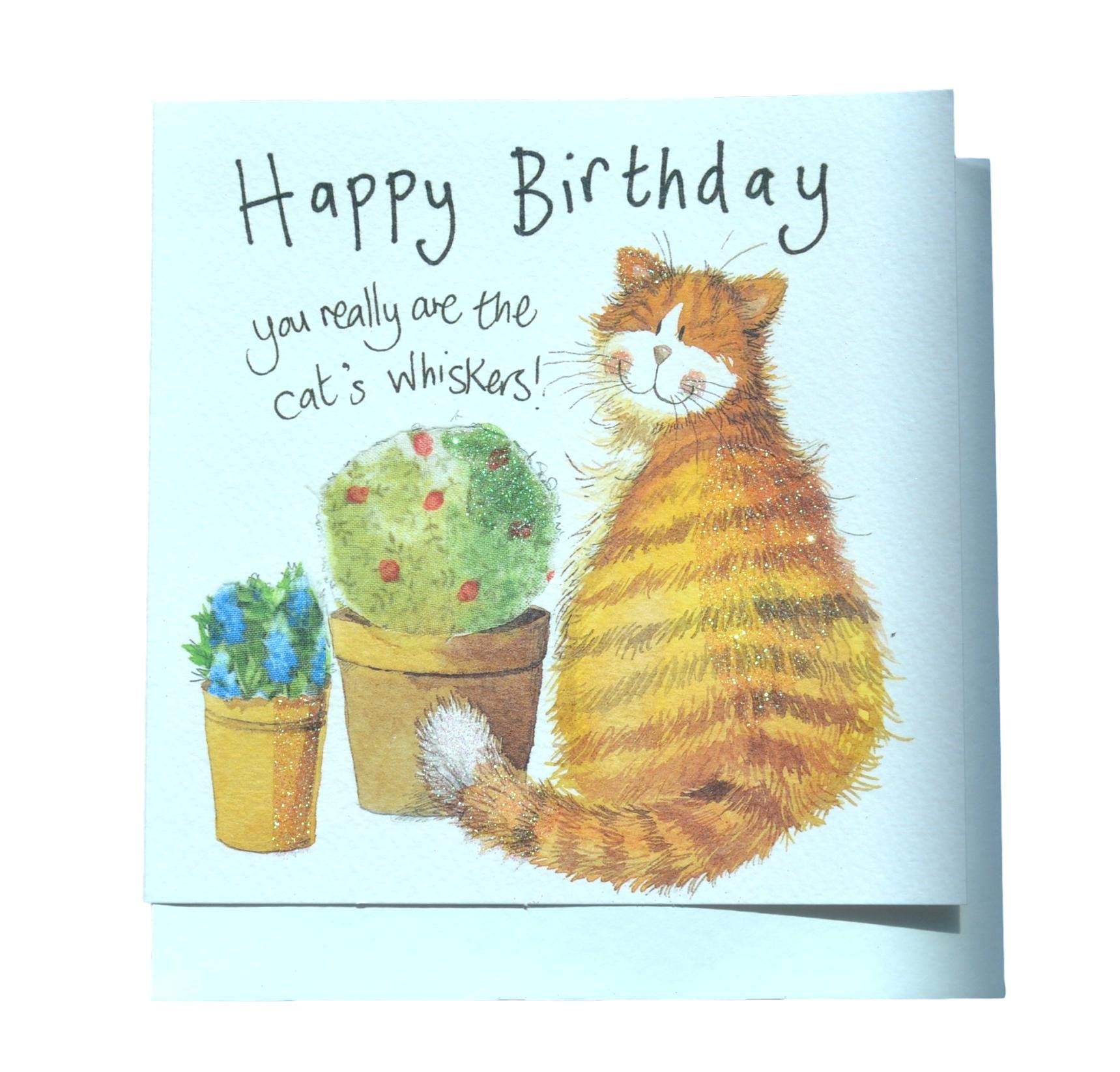 Alex Clark Cat's Whiskers Birthday Card