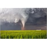 Storm Photography Print (Not Framed) Picture of Tornado Spinning Up Dust Over Wheat Field on Spring Day in Texas Thunderstorm Wall Art Nature Decor (8
