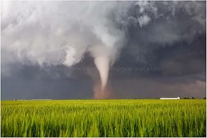 SOUTHERN PLAINS PHOTOGRAPHY Storm Photography Print (Not Framed) Picture of Tornado Spinning Up Dust Over Wheat Field on Spring Day in Texas Thunderstorm Wall Art Nature Decor (8" x 10")