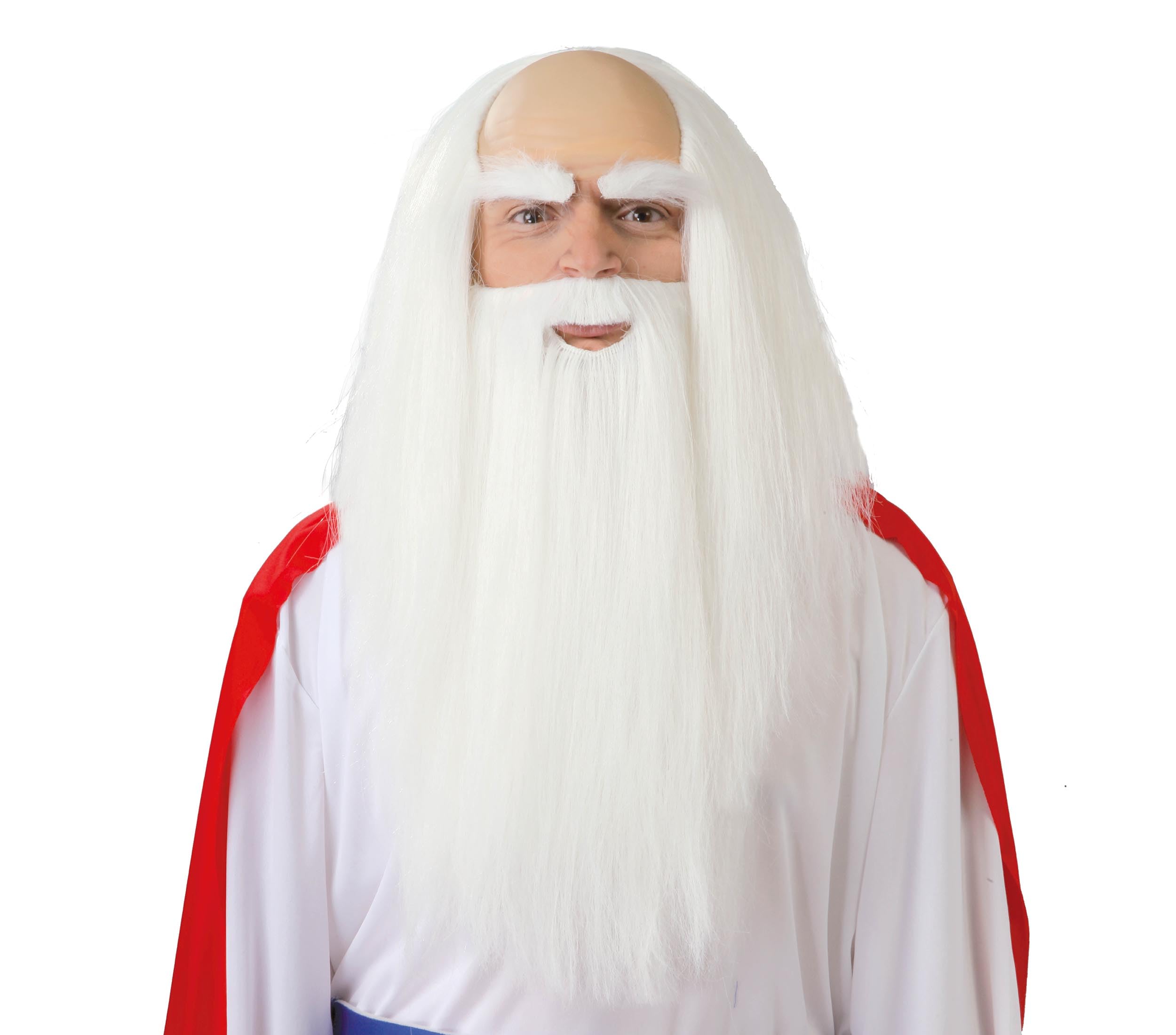 GUIRCA Fiestas GUI4879 – Druids Wig & Beard (Box Container)