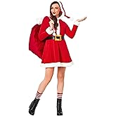 Spirit Halloween Adult Mrs. Claus Skater Dress | Holiday Dress Up | Xmas