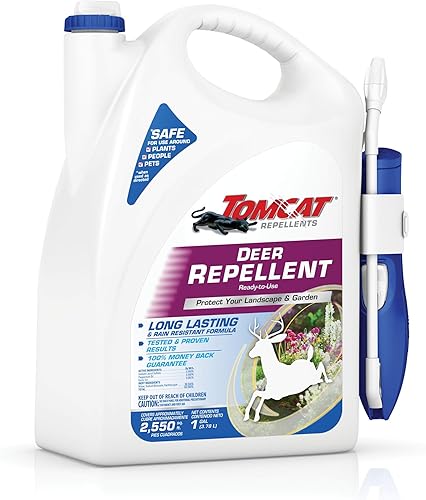 hstcstbl-table__image