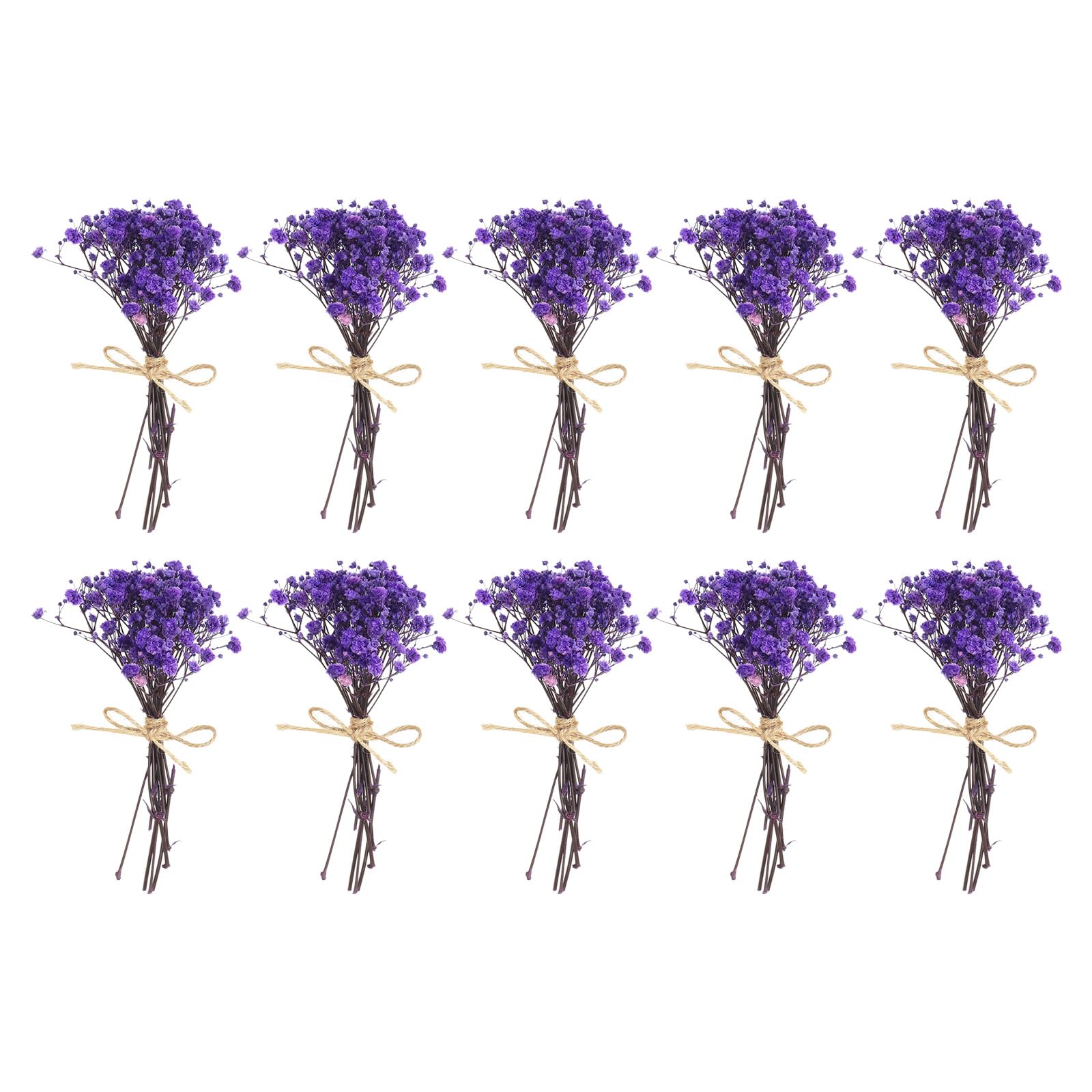 PATIKIL Mini Dried Flower Bouquet, 10 Pcs Baby's Breath Natural Wildflower with Stem Decor Boho Floral Plant Flower for Crafts DIY Photo Props Gift Wedding Decor, Blue Purple