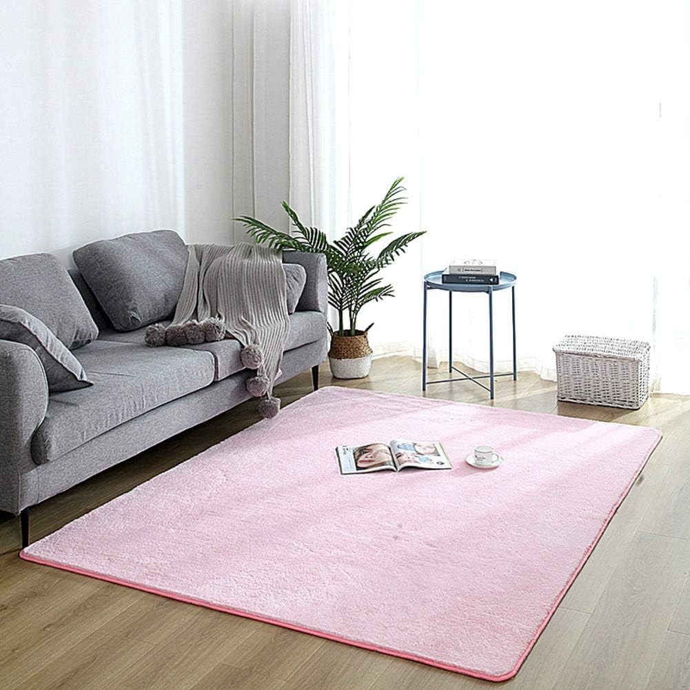 Soft Living Room Area Rug,Short Pile Washable Fluffy Rug Cozy Bedroom Shaggy Rugs,Large Decor