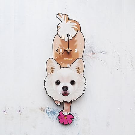 みんなの犬図鑑 ロングコートチワワ