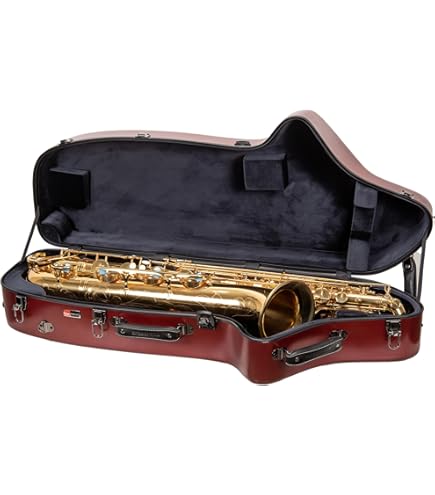 Amazon.com: Baritone Saxophone Case (Bb & Low A), ABS Shell