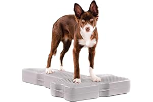 Blue-9 Propel Air Platform Kit, Professionally Designed Dog Training Accessories and Pet Products, Made in The USA, 2-Pack, Gray