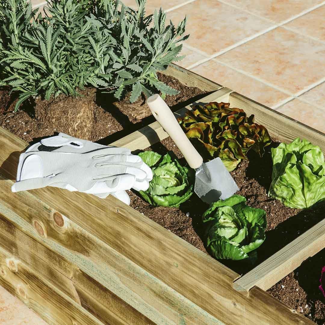 Catral 75010007 Huerto 3 Cavidades Flat, Pino, 140x60x40 cm ...