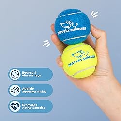 Best Pet Supplies Squeaky Tennis Balls for