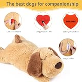 Newthinking Puppy Heartbeat Stuffed Toy Calming Aid Plush Dog Toy view 3