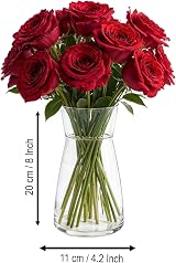 Ledoir Glass Vase 20cm Clear Modern Tall Flower Jug Pampas Decor 1L view 4