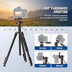 NEEWER Basics Camera Tripod Monopod, 77" Compact