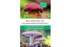 Reconnaitre les champignons essentiels : Le guide indispensable pour une cueillette en toute sécurité (French Edition)