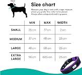 Black Rhino Comfort Collar Ultra Soft Neoprene Padded Dog Collar Large view 5