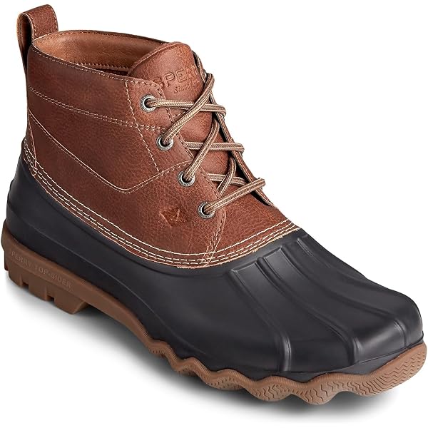Amazon.com | Sperry Men display picture 3