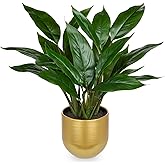 GnFlus Fake Plants 17'' Faux Plants Artificial Potted Plants Indoor Realistic Fake Cast Iron Plant Artificial Plants with Gold Pot for Home Office Farmhouse Kitchen Bathroom Table Shelf Decor