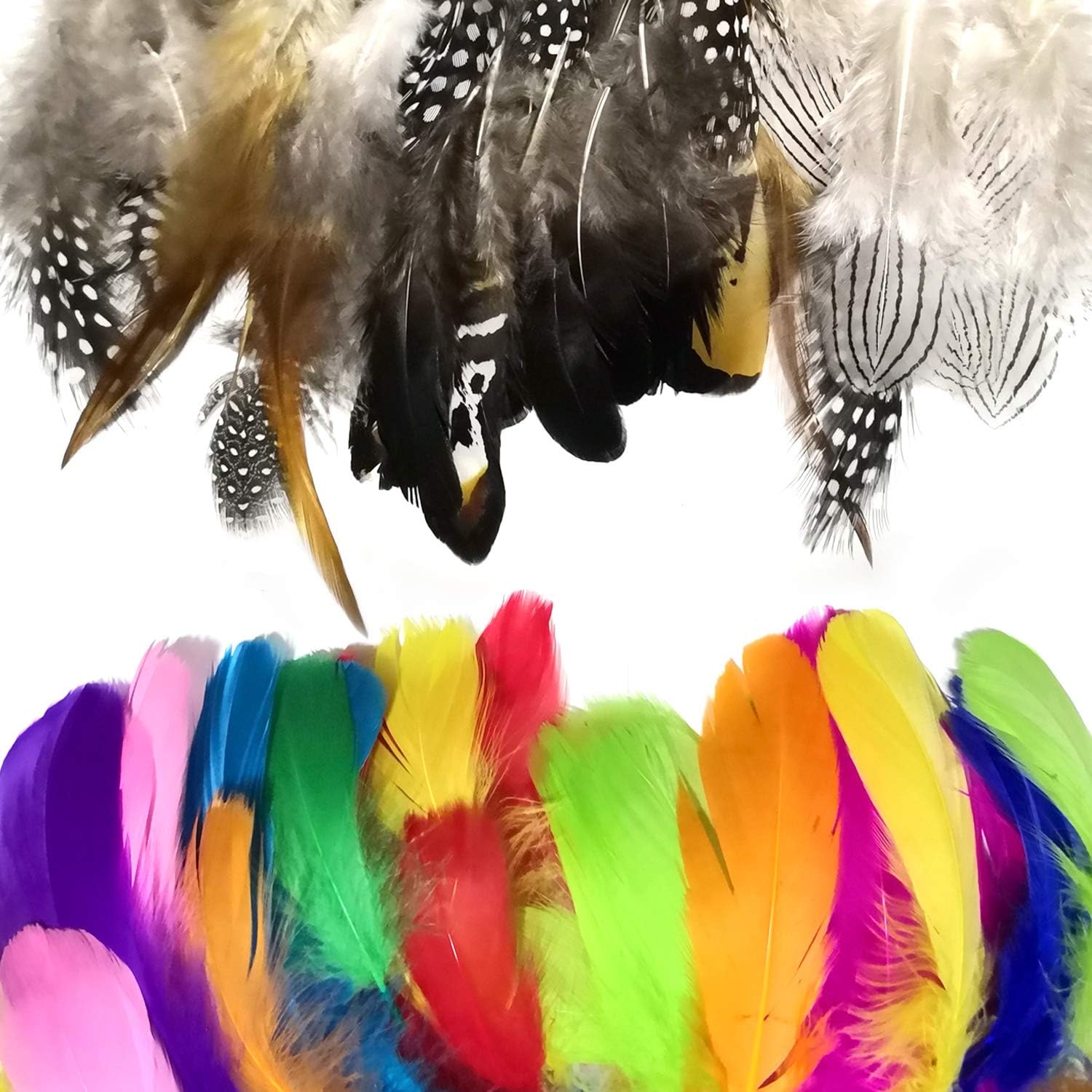 300Pcs Feathers for Craft, Colorful Feathers Crafts Natural Pheasant Feathers Chicken Feathers Assorted Mixed 3-6 Inches for DIY Craft, Jewelry and Wedding Home Party Clothing Decoration, 10 Colors