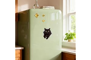 Black Longhair Cat Acrylic Fridge Magnet - Charming Feline Decor for Refrigerator, Locker, Whiteboard & More | Sweet Gift for