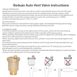 Beduan Brass 10500-VE Automatic Float