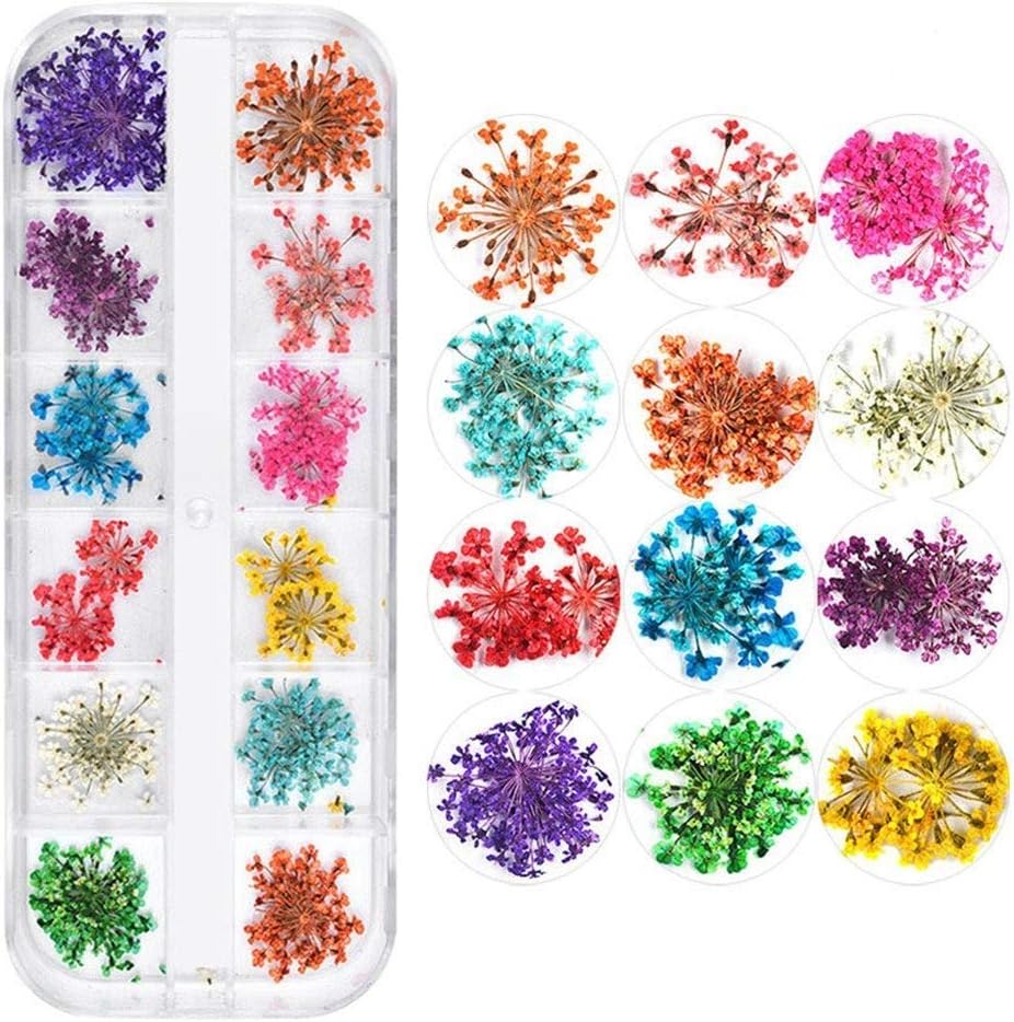 Valuu 3D Nail Art Dried Flowers Sticker 12 Colors Natural Real Dry Flower Nail Art Decoration Lovely Flower Beauty Nail Stickers for 3D Nail Art Acrylic UV Gel Tips