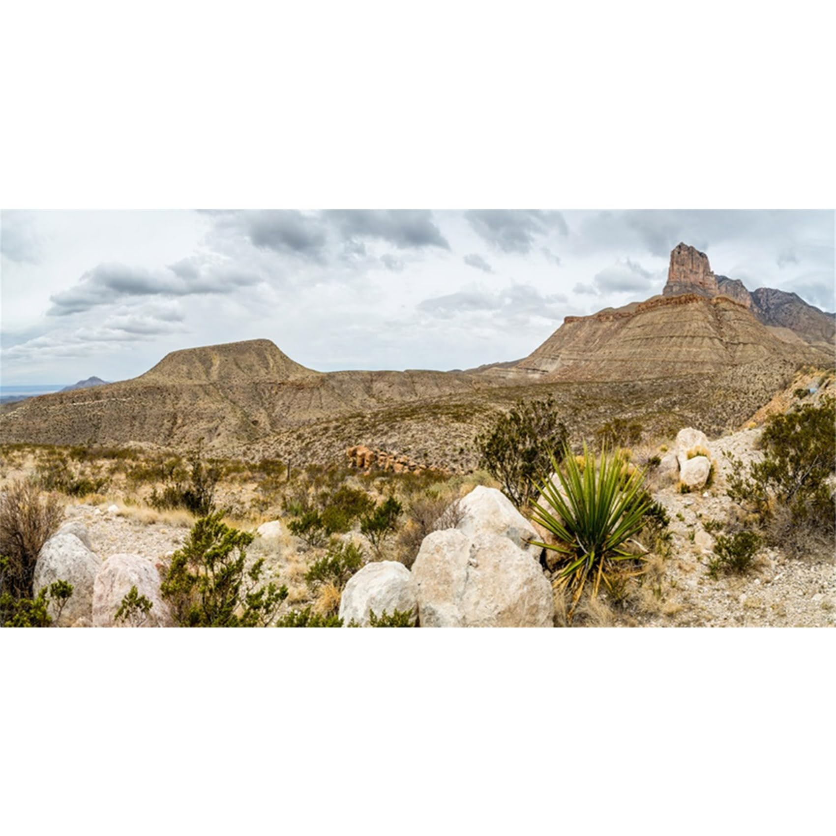 MIRRORANG 180x61cm Durable Vinyl Terrarium Background Mountain Rock Oasis Gobi Reptile Habitat Background