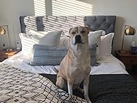 Review Image by Keren Otarola Keren Otarola