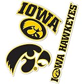 Desert Cactus University of Iowa Sticker Hawkeyes Vinyl Decals Laptop Water Bottle Car Scrapbook T5 (Type 5-1)