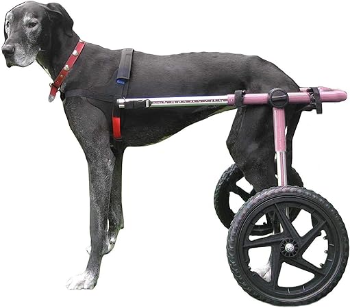 silla de ruedas para perros amazon
