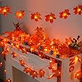 YEGUO 2 Packs Thanksgiving Decorations for Home, Thanksgiving Lights Battery Operated, Total 20ft 40 LED Lighted Fall Garland Maple Leaves for Holiday Autumn Harvest Fall Thanksgiving Decor