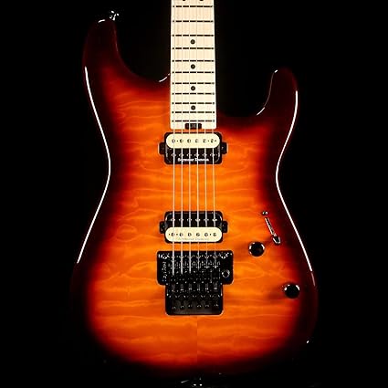 cuerpo de guitarra el/&eacute;ctrica Red Floyd Rose ST cuerpo de guitarra