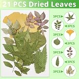 Cinvo 63 Pcs Real Dried Leaves with Tweezers Assorted DIY Craft Set 2023 view 4