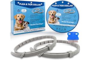 AEEPOTOL Flea Collar for Dogs, Dog Flea Collars Kill Flea and Ticks, 2 Pack Natural Flea and Tick Prevention Collar for Dogs, Water Resistant Dog Tick Collar, One Size Fits All Dogs