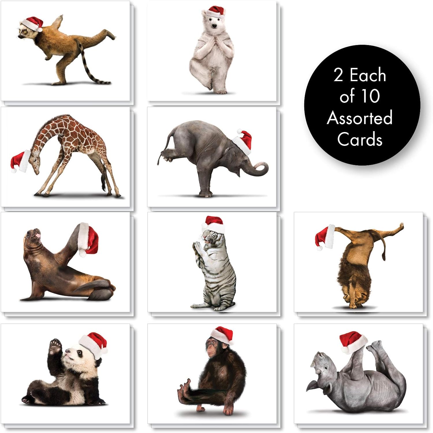 Yuletide Zoo Yoga - Box of 433 Animal Christmas Note Cards with Envelopes (43 x 43.43 Inch) - Cute Zen Yoga Poses, Xmas Notecard Set for Kids, Happy Yuletide Zoo Yoga - Box of 433 Animal Christmas Note Cards with Envelopes (43 x 43.43 Inch) - Cute Zen Yoga Poses, Xmas Notecard Set for Kids, Happy