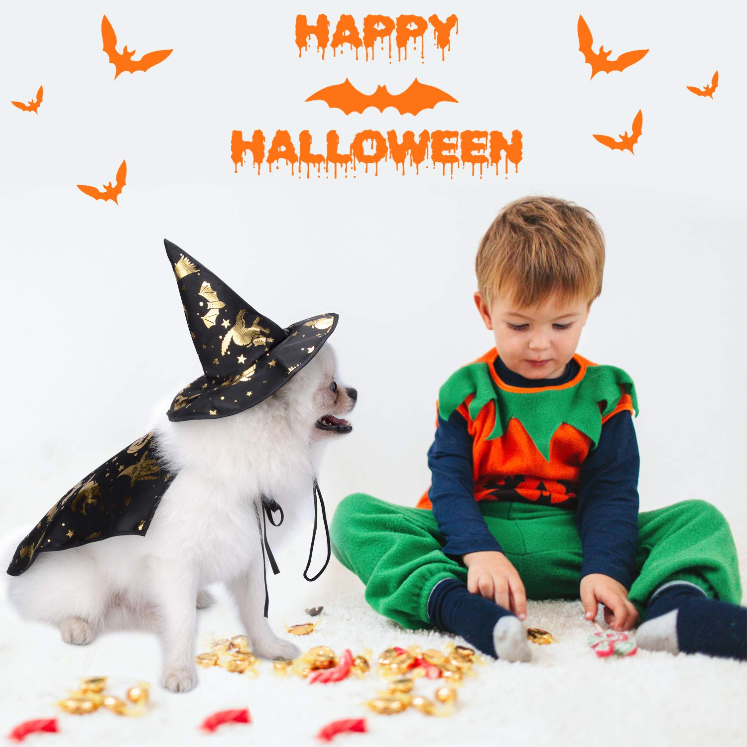 Legendog Dog Costume, Halloween Costumes for Small Dogs, Creative Dog Cape with Witch Hat, Halloween Pet Costume