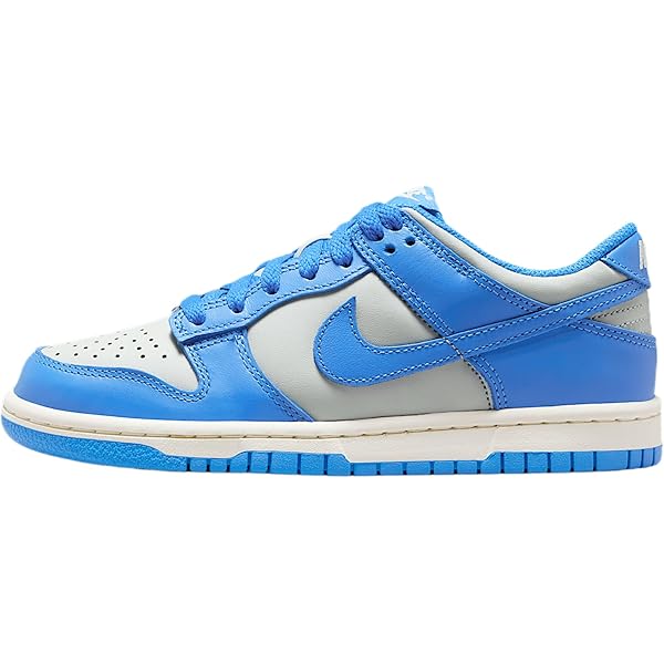 Amazon.com | Nike Dunk High Retro SE Men's Shoes (FV6612-001