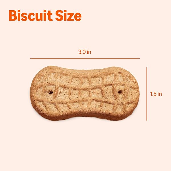 AMAZON BASICS CRUNCHY DOG BISCUITS PEANUT BUTTER FLAVOR DOG TREATS 5 LB. BOX