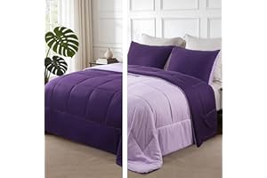 Exclusivo Mezcla Lightweight Reversible Queen Size Comforter Set, Down Alternative Comforter with 2 Pillow Sham, Queen Size B